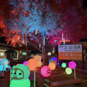 ヒメ日記 2025/12/18 22:45 投稿 柚月はな セカンドパートナー