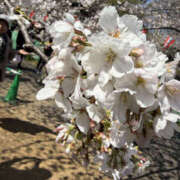 ヒメ日記 2026/03/24 12:25 投稿 柚月はな セカンドパートナー本店