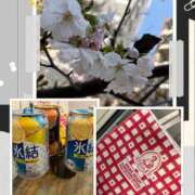 ヒメ日記 2026/03/27 20:05 投稿 柚月はな セカンドパートナー本店