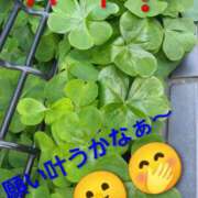 ヒメ日記 2025/11/14 09:51 投稿 しずか 熟女ばかり