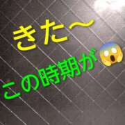ヒメ日記 2025/11/29 09:07 投稿 しずか 熟女ばかり