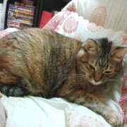 ヒメ日記 2026/02/14 09:05 投稿 しずか 熟女ばかり