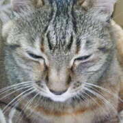 ヒメ日記 2026/04/10 00:25 投稿 しずか 熟女ばかり