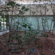 ヒメ日記 2026/04/14 01:21 投稿 しずか 熟女ばかり