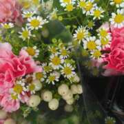 ヒメ日記 2026/07/25 09:14 投稿 しずか 熟女ばかり