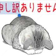 ヒメ日記 2025/06/12 15:45 投稿 えりか 熟女総本店 堺東店