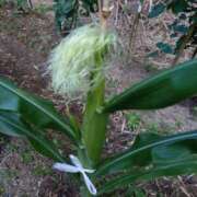 ヒメ日記 2025/06/20 21:54 投稿 えりか 熟女総本店 堺東店