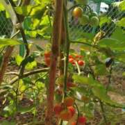 ヒメ日記 2025/07/10 21:14 投稿 えりか 熟女総本店 堺東店