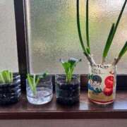 ヒメ日記 2025/07/11 07:45 投稿 えりか 熟女総本店 堺東店