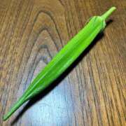 ヒメ日記 2025/07/23 15:51 投稿 えりか 熟女総本店 堺東店