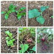 ヒメ日記 2025/09/11 17:27 投稿 えりか 熟女総本店 堺東店