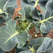 ヒメ日記 2026/03/01 15:44 投稿 えりか 熟女総本店 堺東店