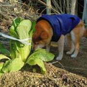 ヒメ日記 2026/03/17 22:44 投稿 えりか 熟女総本店 堺東店