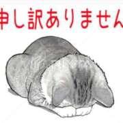 ヒメ日記 2026/09/08 16:29 投稿 えりか 熟女総本店 堺東店