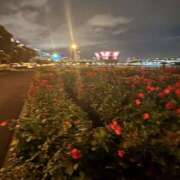 ゆん 本日出勤します✨ 横浜アロマプリンセス（ユメオト）