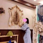 ヒメ日記 2025/11/09 08:04 投稿 夢菜（ゆな） PLUS難波店