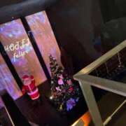 ヒメ日記 2025/11/19 14:33 投稿 夢菜（ゆな） PLUS難波店