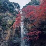 ヒメ日記 2025/12/01 21:54 投稿 夢菜（ゆな） PLUS難波店