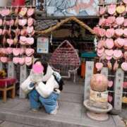 ヒメ日記 2026/01/29 12:51 投稿 夢菜（ゆな） PLUS難波店