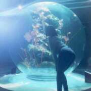 ヒメ日記 2026/01/31 08:55 投稿 夢菜（ゆな） PLUS難波店