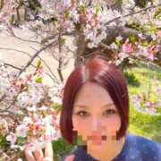 ヒメ日記 2026/04/08 15:04 投稿 夢菜（ゆな） PLUS難波店