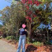 ヒメ日記 2026/04/10 08:54 投稿 夢菜（ゆな） PLUS難波店