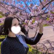 ヒメ日記 2026/04/10 13:44 投稿 夢菜（ゆな） PLUS難波店