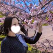 ヒメ日記 2026/04/11 22:04 投稿 夢菜（ゆな） PLUS難波店