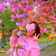 ヒメ日記 2026/04/12 19:24 投稿 夢菜（ゆな） PLUS難波店