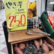 ヒメ日記 2026/04/13 13:47 投稿 夢菜（ゆな） PLUS難波店