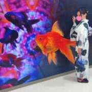 ヒメ日記 2026/08/13 21:14 投稿 夢菜（ゆな） PLUS難波店