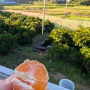 ヒメ日記 2026/10/10 08:54 投稿 夢菜（ゆな） PLUS難波店