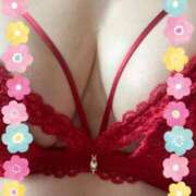 ヒメ日記 2025/09/12 16:27 投稿 にしき 熟女家 堺東店