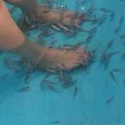 ヒメ日記 2025/10/22 15:57 投稿 にしき 熟女家 堺東店