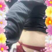 ヒメ日記 2025/11/12 11:17 投稿 にしき 熟女家 堺東店