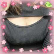 ヒメ日記 2026/03/31 12:07 投稿 にしき 熟女家 堺東店