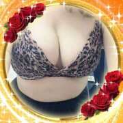 ヒメ日記 2026/04/05 10:17 投稿 にしき 熟女家 堺東店