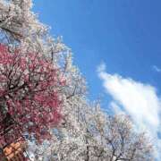 ヒメ日記 2025/05/05 06:09 投稿 かな ギン妻パラダイス 和歌山店