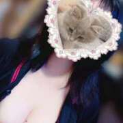 ヒメ日記 2025/05/25 15:10 投稿 いの 千葉人妻花壇