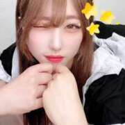 ヒメ日記 2025/10/14 16:49 投稿 らむ ウルトラドリーム