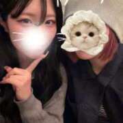 ヒメ日記 2026/04/04 19:19 投稿 らむ ウルトラドリーム