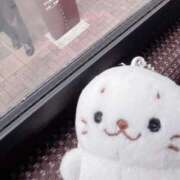 ヒメ日記 2026/03/27 14:04 投稿 すみれ☆かつてないトキメキと感動 妹系イメージSOAP萌えフードル学園 大宮本校