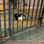 ヒメ日記 2025/09/21 08:01 投稿 ユヅキ 千葉美女革命