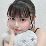 ヒメ日記 2025/11/28 08:21 投稿 ユヅキ 千葉美女革命