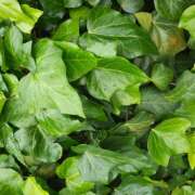 ヒメ日記 2025/05/14 15:02 投稿 松田しのぶ 五十路マダム愛されたい熟女たち岡山店（カサブランカグループ）