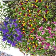 ヒメ日記 2025/06/14 16:46 投稿 松田しのぶ 五十路マダム愛されたい熟女たち岡山店（カサブランカグループ）