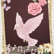 ヒメ日記 2025/07/21 14:20 投稿 松田しのぶ 五十路マダム愛されたい熟女たち岡山店（カサブランカグループ）