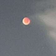 ヒメ日記 2025/09/08 12:59 投稿 りずむ ドMな奥様 京都店