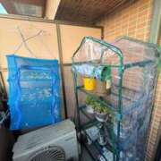 ヒメ日記 2025/11/28 18:02 投稿 りずむ ドMな奥様 京都店