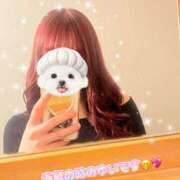 ヒメ日記 2025/08/12 00:30 投稿 ゆい 京都ホテヘル倶楽部